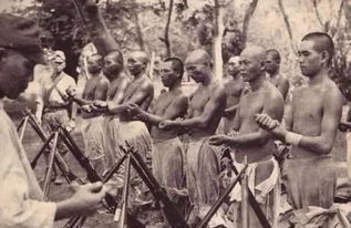 法国小伙马库斯捐赠侵华日军照片：历史的重量与和平的心愿