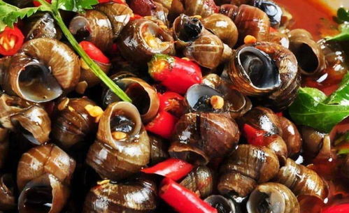 寒冬中的一份深情：女子摸田螺只为远嫁姐姐尝家乡味