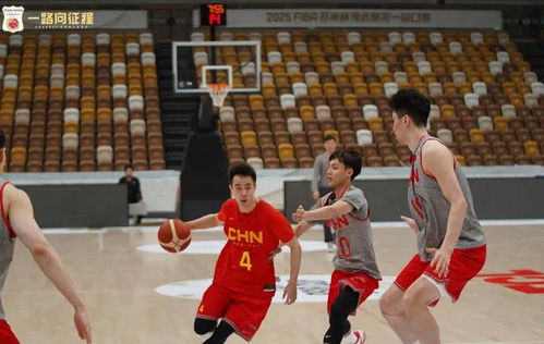 中国男篮亚预赛12人名单揭晓：阵容解析与期待