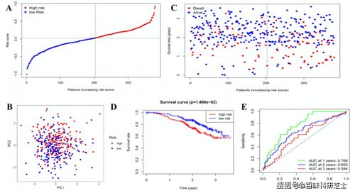 细胞焦亡与GSDM家族：探索GSDMD的奥秘