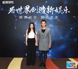 刘诗诗将所持股权转让给吴奇隆：一段商业与情感的交织故事