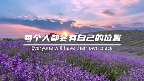 如何勇敢地坚定做自己？