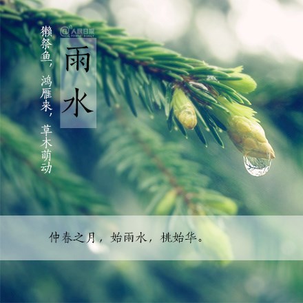 雨水节气：一场春雨落，万物生机盎然