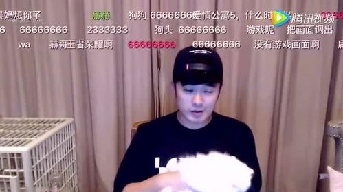 《难哄》直播现场的尴尬瞬间：从技术故障到幕后指挥，一场意外引发的热议