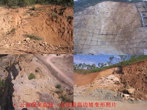 第1章 生命的低谷：当死亡成为唯一的出口