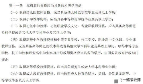 高职女教师的抉择：辞职考公，这条路真的可行吗？