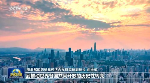 高水平对外开放：个人视角下的机遇与挑战