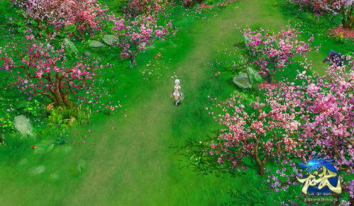 风晚与林：一段跨越时光的深情故事