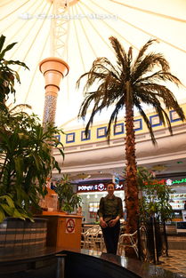 遇见阿布扎比卢浮宫：Nicolas de Staël的艺术之旅