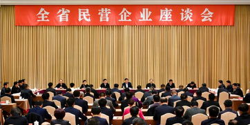 新时代下民营经济：从安心谋发展到大显身手