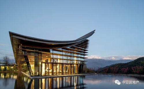 一方天地：在简书的世界里，探寻书法教育的未来