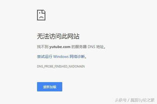 解锁网络热词，一起走进“网词百科”的奇妙世界