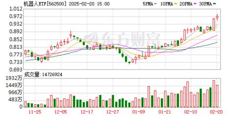 人形伴侣机器人：从科幻到现实的崛起之路