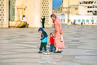 旺崽的摩洛哥奇遇记：从街头到沙漠，一场意想不到的文化碰撞