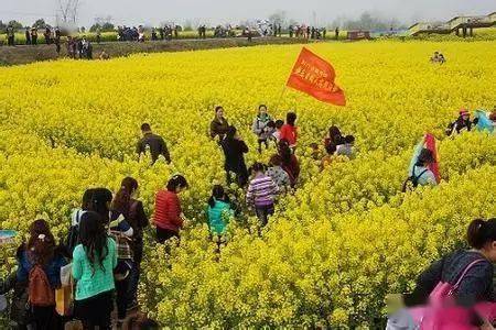 春至，又是一年踏青好时节