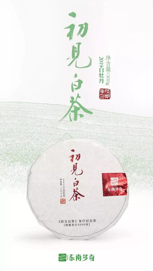 与茶的初见：一场穿越千年的文化邂逅