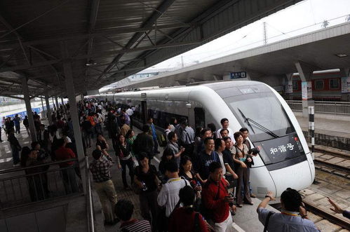 坐着火车去养老？银发列车开启老年人的“诗和远方”