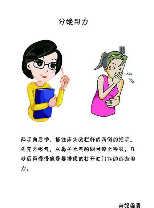 深度解析：如何理解“持续用力、更加给力”的财政政策