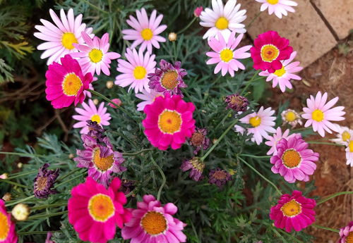 乌克兰矿产资源大揭秘：背后的利益博弈与国际格局