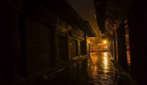 夜巷：一场深夜的奇妙邂逅