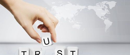 如何建立团队的高度信任感：从个人视角出发的实战分享