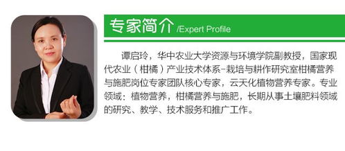 深度解析：iPhone 16E——苹果自研5G基带的首秀之作