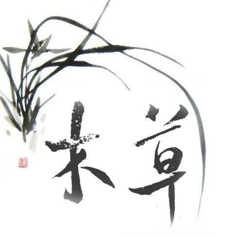 何求美人折：一段关于自我与随笔的内心旅程