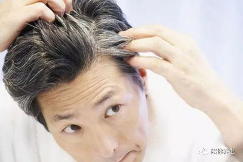 中医养发秘籍：气血足了，头发自然好