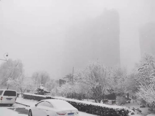 石家庄的雪景：一场冬日的浪漫邂逅