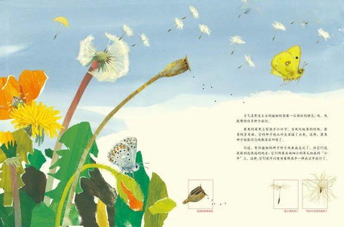 时间旅行奇遇：在昏暗天色下的巨蟹世界