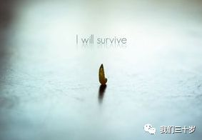 纠缠与抱怨：一段自我反思的随笔