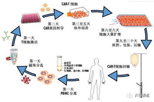 CAR-T疗法：120万一针的抗癌奇迹，值得吗？