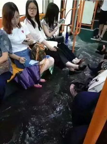 地铁公交上的“猎狼行动”：小卢的勇敢故事与社会反思