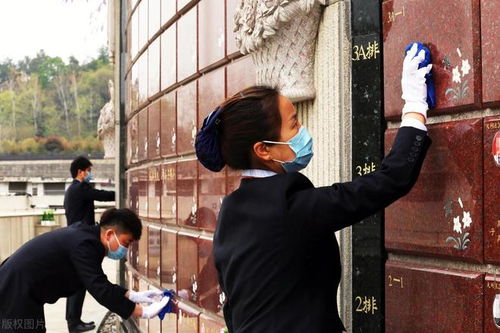 殡仪馆招聘背后：一份特殊职业的冷与热