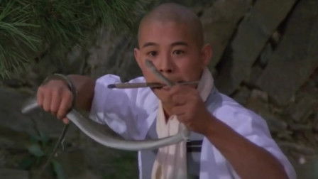 南北少林：探秘中国功夫的两大圣地