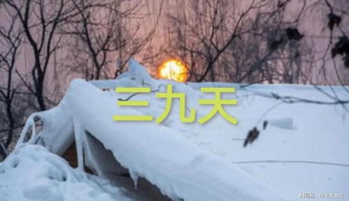 新一轮雨雪天气来袭：小李的亲身经历与应对建议
