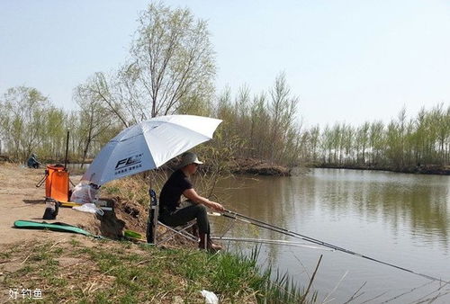 春天来了，又到了钓鱼的好时节