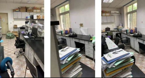 华中农大学子租房困境：被赶的背后是什么？