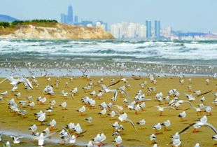 春潮翩翩：在文字中感受时代的脉动