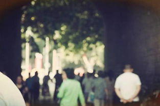 寻常日子也温暖：那些藏在生活中的小确幸