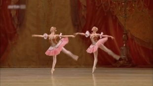 古典芭蕾舞剧《帕基塔》的变奏溯源：历史背景、艺术特点与影响