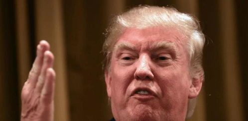 特朗普集会现场再现惊魂一幕：举拳高呼背后的真相