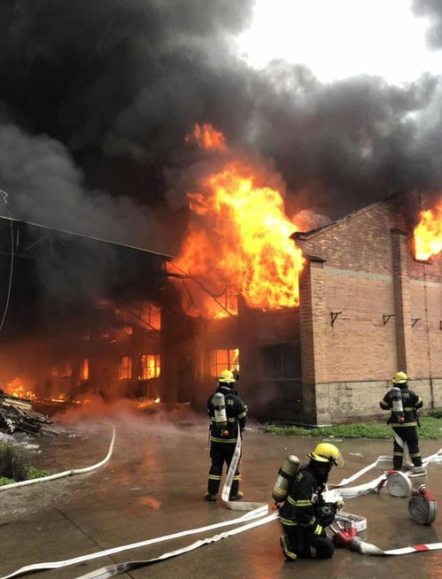 致敬英雄：安徽广德火灾中牺牲的消防员故事