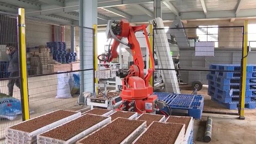 新农技助力春耕跑出“加速度”