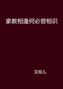 相识何必曾相识：一段奇妙的相遇故事