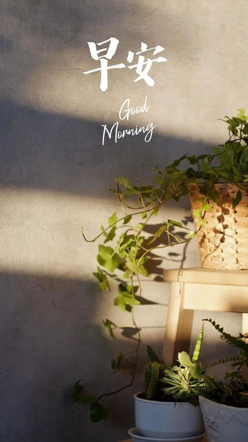 日子平淡如水，却藏着最深的幸福