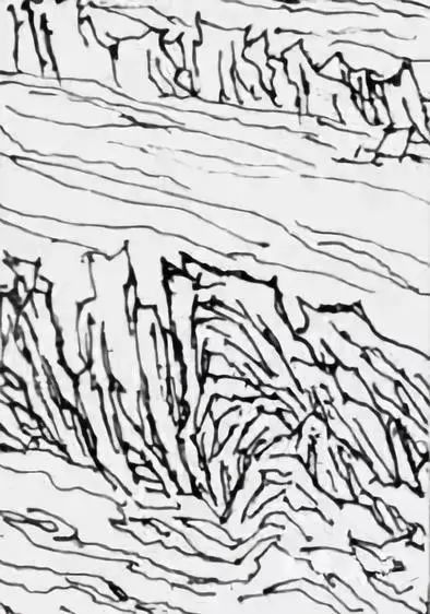 构图的画幅选择(二)：从他的视角重新定义画面的力量