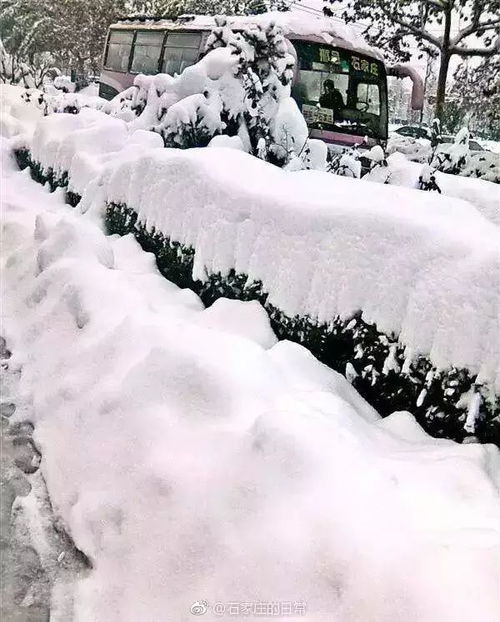 石家庄大雪：一场与风雪共舞的奇妙体验