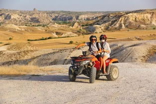 一人一猫，骑行雪山的壮丽奇缘