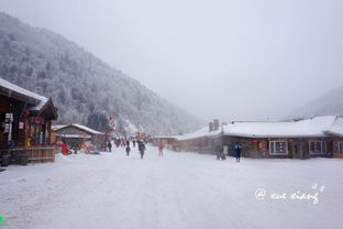 上万人涌向杭州周边追雪，多车碰撞事故频发